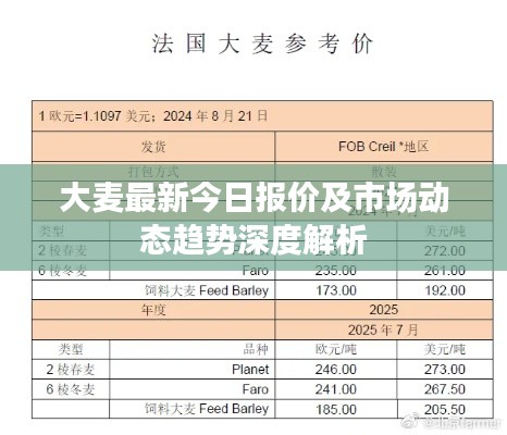 大麦最新今日报价及市场动态趋势深度解析
