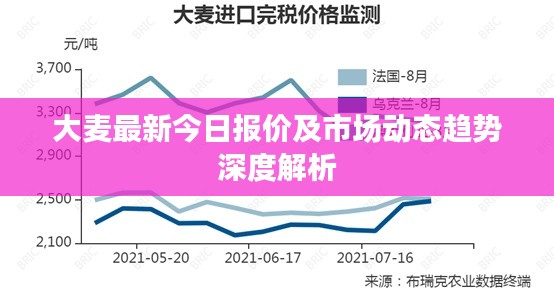 大麦最新今日报价及市场动态趋势深度解析