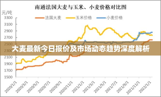 大麦最新今日报价及市场动态趋势深度解析