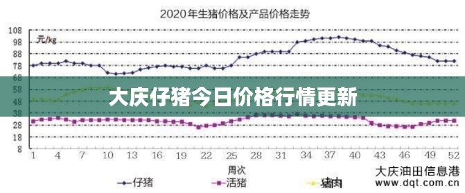 大庆仔猪今日价格行情更新