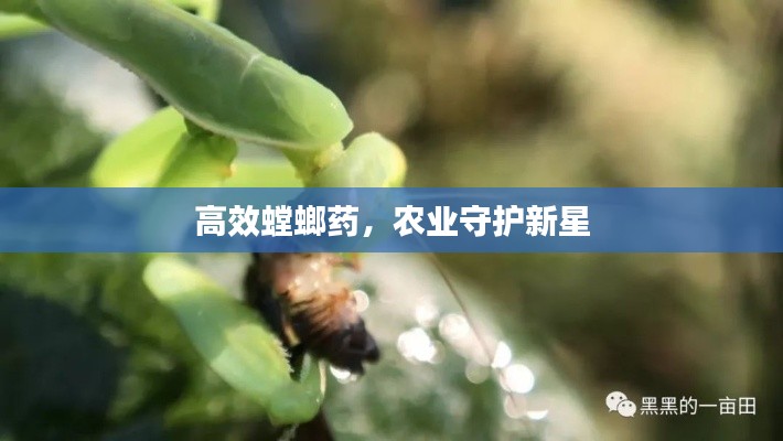 高效螳螂药，农业守护新星