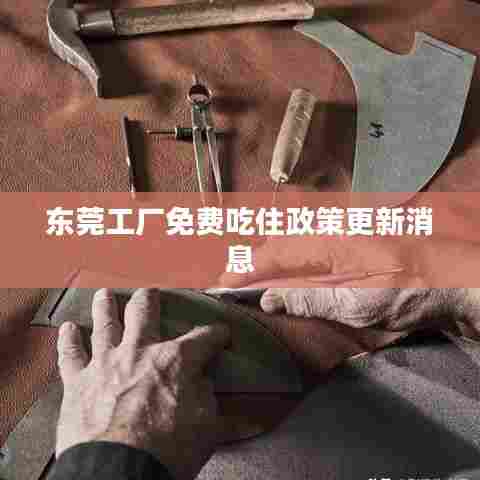 东莞工厂免费吃住政策更新消息