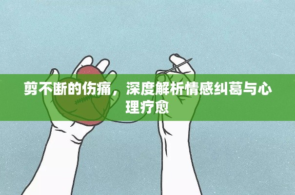 剪不断的伤痛，深度解析情感纠葛与心理疗愈