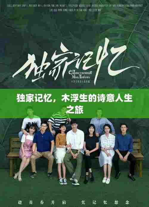 独家记忆,木浮生的诗意人生之旅