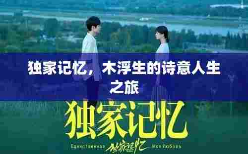 独家记忆,木浮生的诗意人生之旅