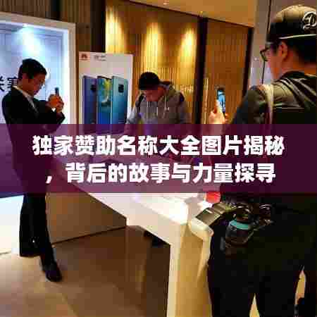 独家赞助名称大全图片揭秘,背后的故事与力量探寻