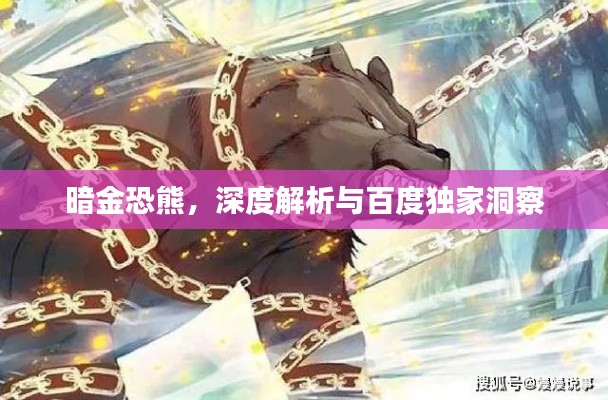 暗金恐熊,深度解析与百度独家洞察
