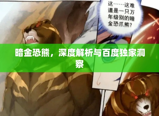暗金恐熊,深度解析与百度独家洞察