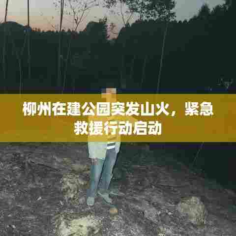 柳州在建公园突发山火，紧急救援行动启动