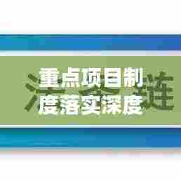 重点项目制度落实深度剖析与成效评估