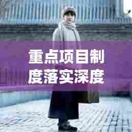 重点项目制度落实深度剖析与成效评估