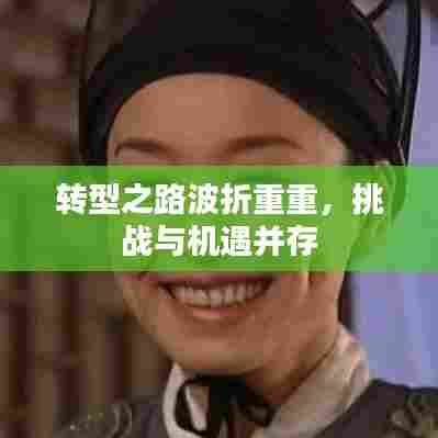 转型之路波折重重，挑战与机遇并存