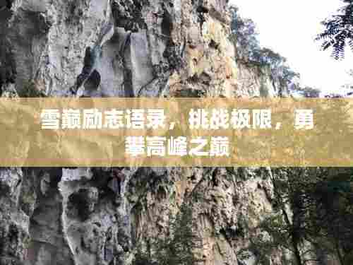 雪巅励志语录，挑战极限，勇攀高峰之巅