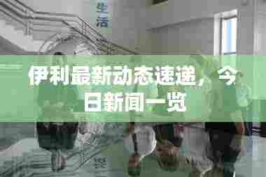 伊利最新动态速递，今日新闻一览