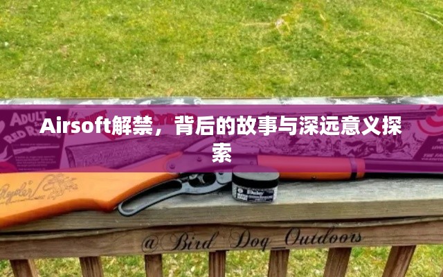 Airsoft解禁，背后的故事与深远意义探索