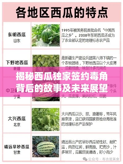 揭秘西瓜独家签约毒角背后的故事及未来展望