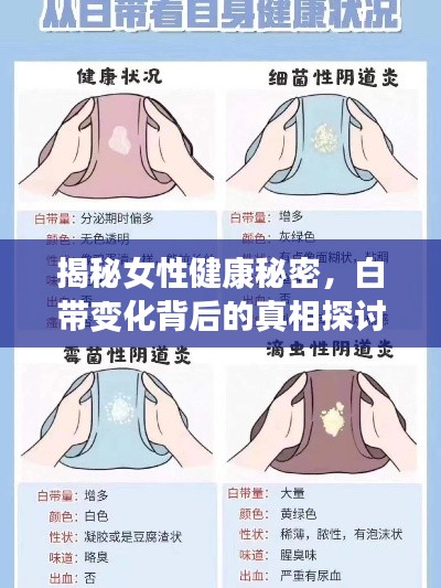 揭秘女性健康秘密,白带变化背后的真相探讨