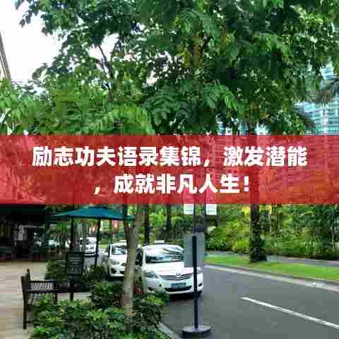 励志功夫语录集锦，激发潜能，成就非凡人生！