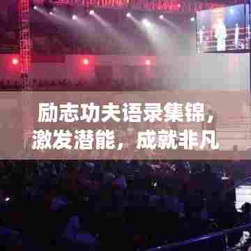 励志功夫语录集锦,激发潜能,成就非凡人生!