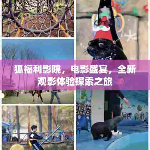 狐福利影院，电影盛宴，全新观影体验探索之旅