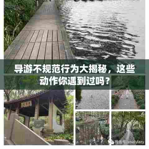 导游不规范行为大揭秘,这些动作你遇到过吗?
