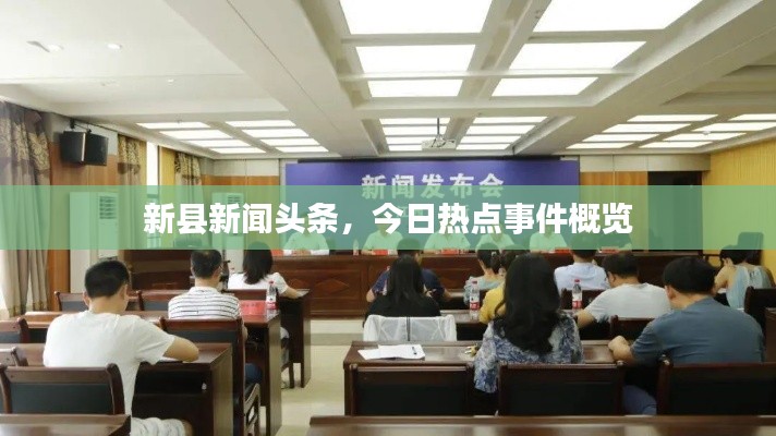 新县新闻头条,今日热点事件概览