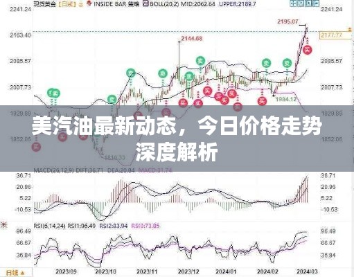 美汽油最新动态，今日价格走势深度解析