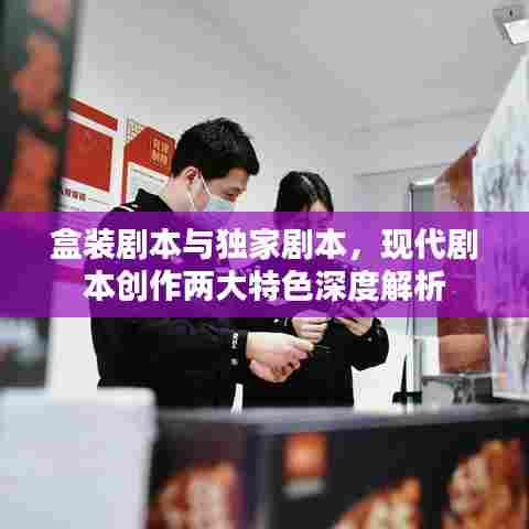 盒装剧本与独家剧本,现代剧本创作两大特色深度解析