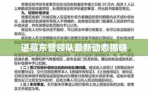 进藏东营领队最新动态揭晓