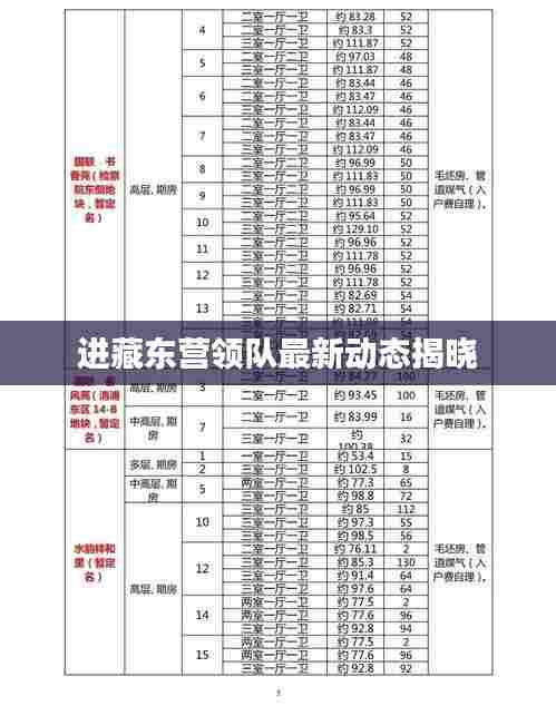 进藏东营领队最新动态揭晓