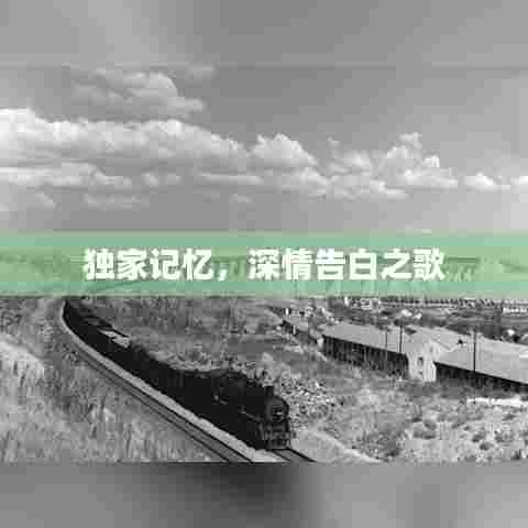 独家记忆,深情告白之歌
