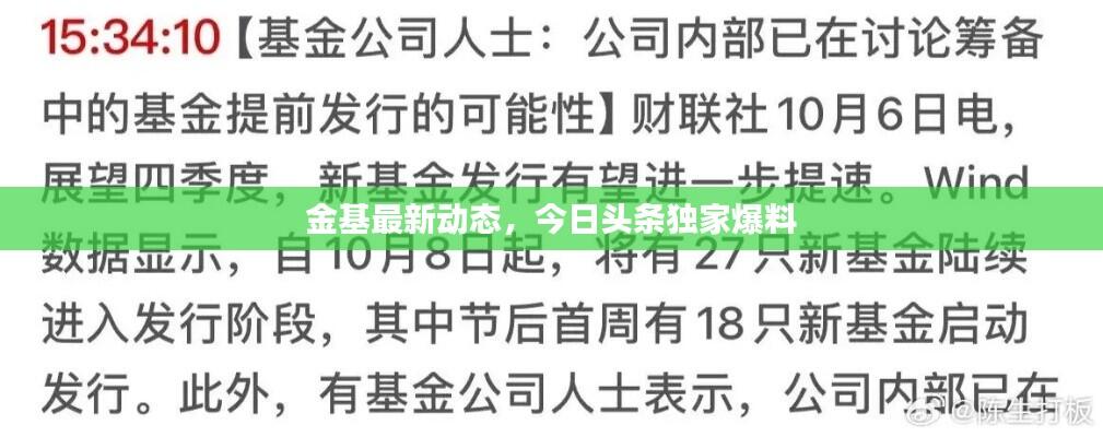 金基最新动态，今日头条独家爆料