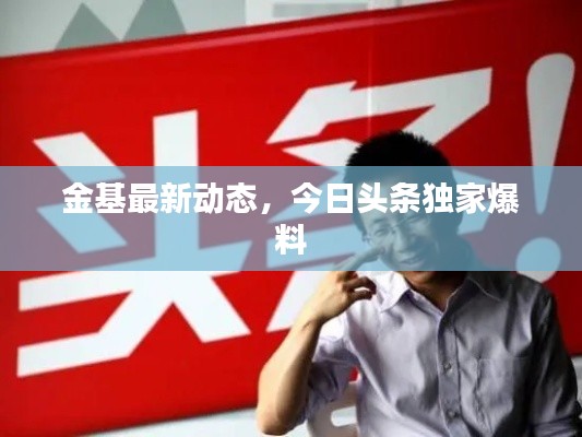 金基最新动态,今日头条独家爆料