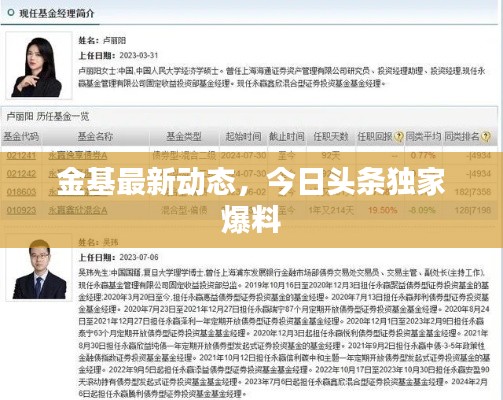 金基最新动态,今日头条独家爆料