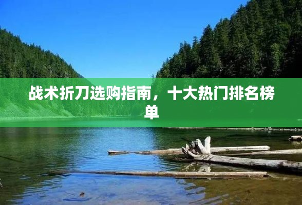 战术折刀选购指南,十大热门排名榜单