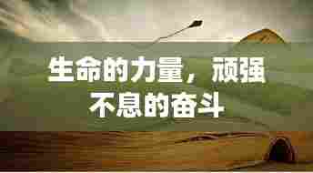 生命的力量,顽强不息的奋斗