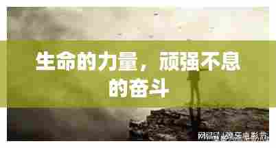 生命的力量,顽强不息的奋斗