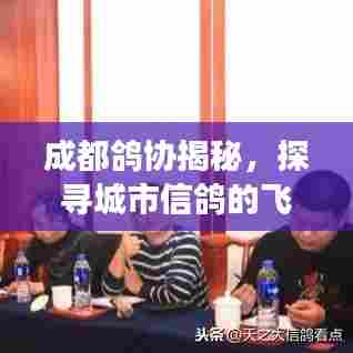 成都鸽协揭秘,探寻城市信鸽的飞翔世界!