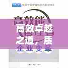 高效卓越之道，质量与效率的完美融合追求卓越之路