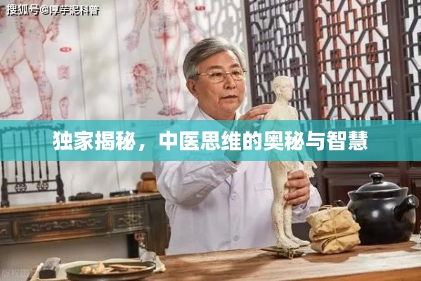 独家揭秘,中医思维的奥秘与智慧