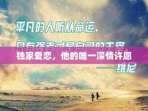 独家爱恋，他的唯一深情许愿
