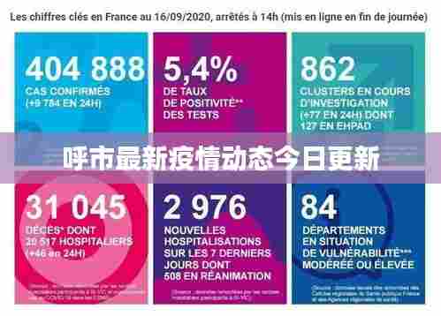 呼市最新疫情动态今日更新