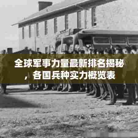 全球军事力量最新排名揭秘，各国兵种实力概览表