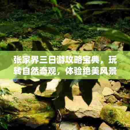 张家界三日游攻略宝典，玩转自然奇观，体验绝美风景！