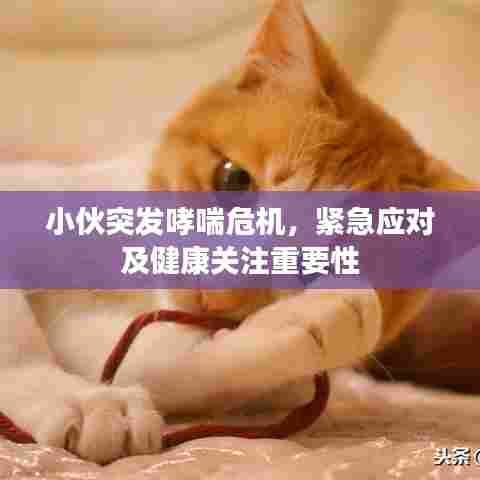 小伙突发哮喘危机,紧急应对及健康关注重要性