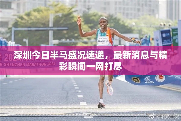 深圳今日半马盛况速递,最新消息与精彩瞬间一网打尽
