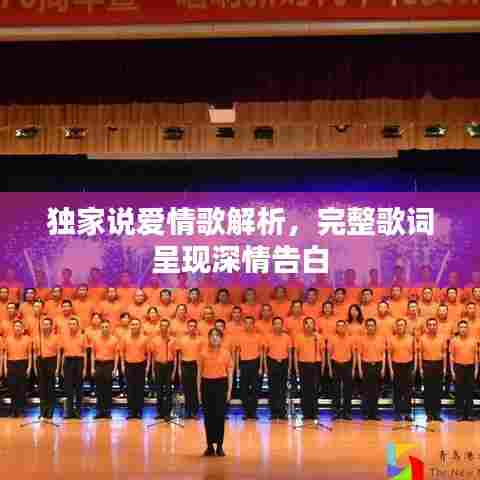 独家说爱情歌解析,完整歌词呈现深情告白