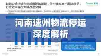河南速州物流停运深度解析