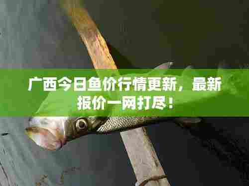 广西今日鱼价行情更新，最新报价一网打尽！