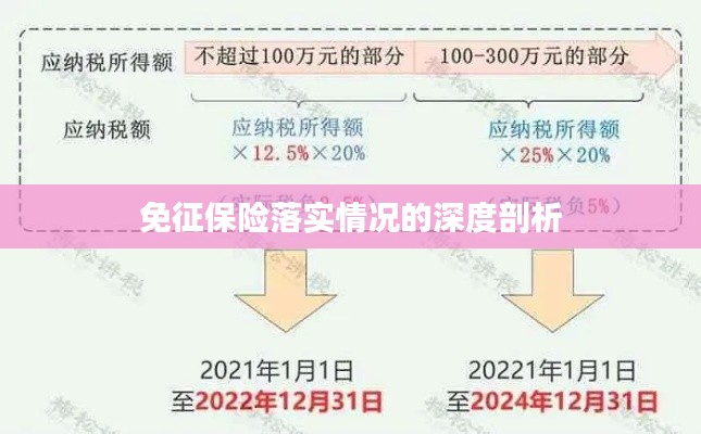 免征保险落实情况的深度剖析